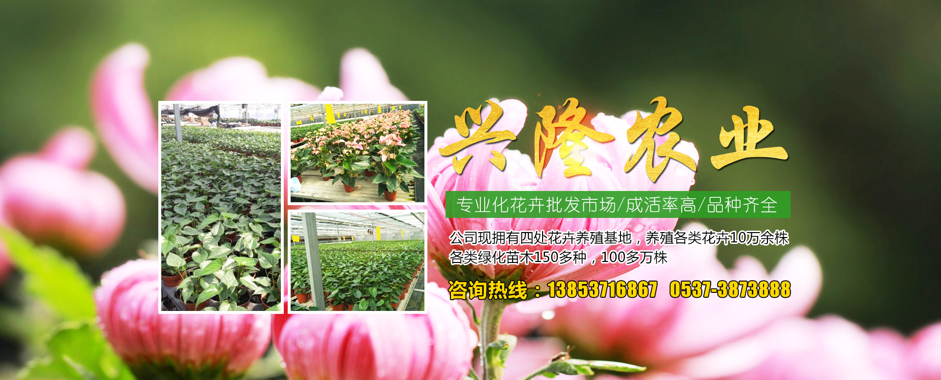 可以按照用户要求设计为大倾角或移动式，输送量输送量可达3000t/h