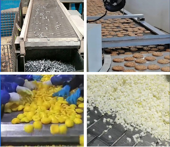 爬坡链板输送机应用